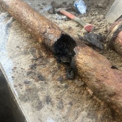 Sewer Inspection $180