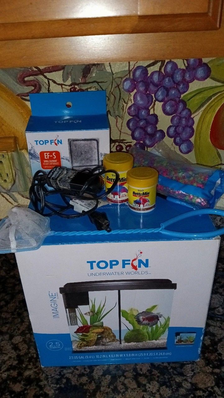 Fish Tank 