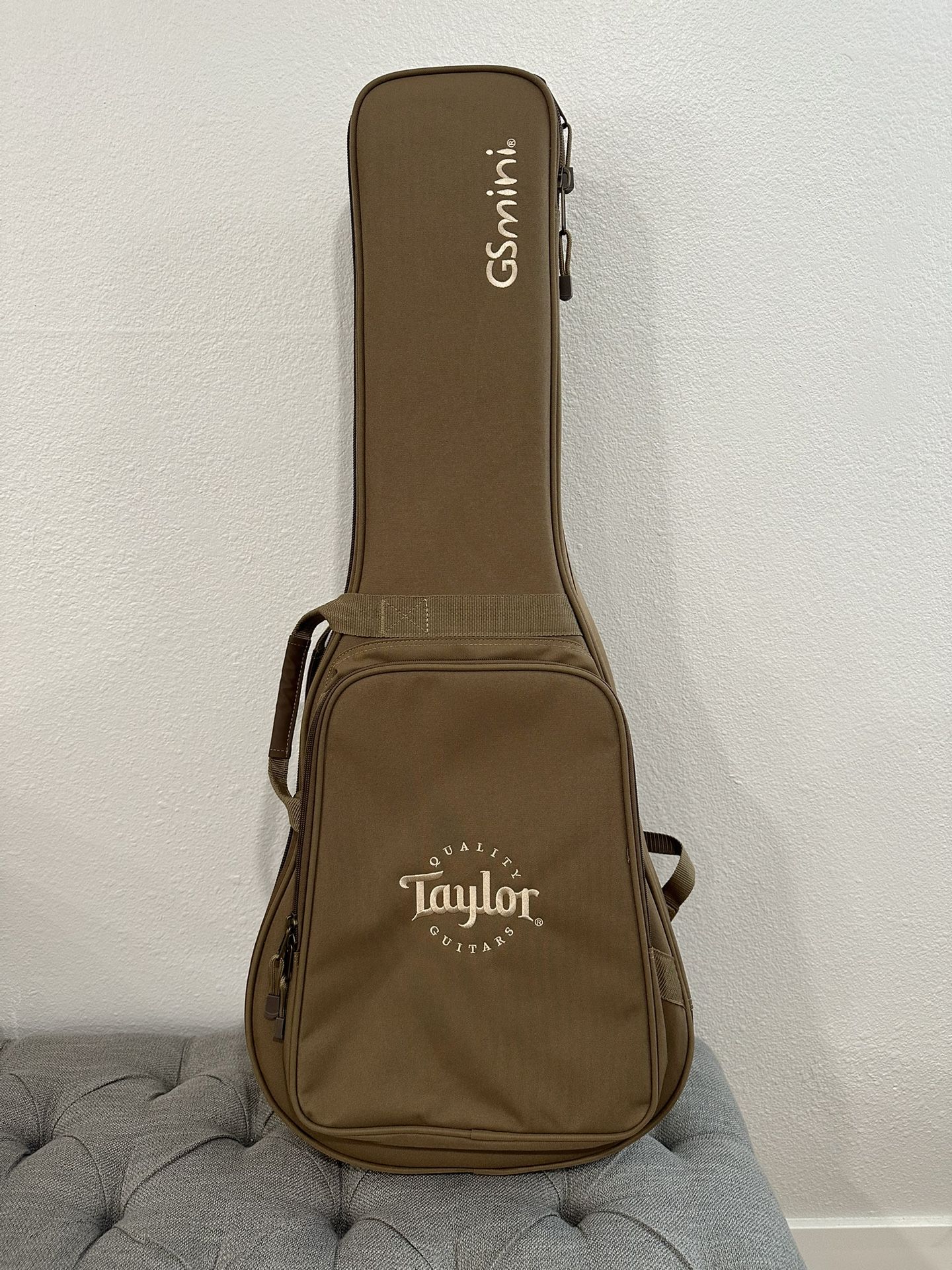 Taylor GS Mini Guitar Case