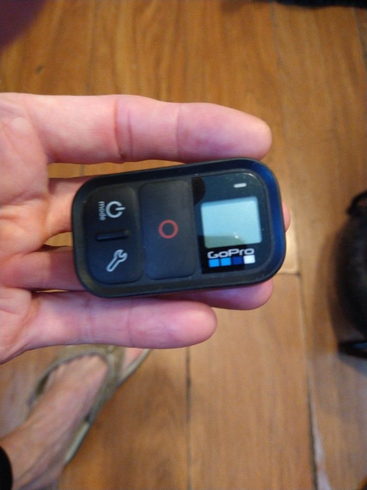 GoPro Remote 