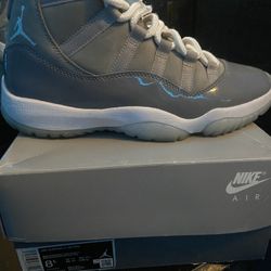 Jordan 11s Cool Grey 