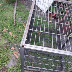 Medium Size Very Strong Dog Cage