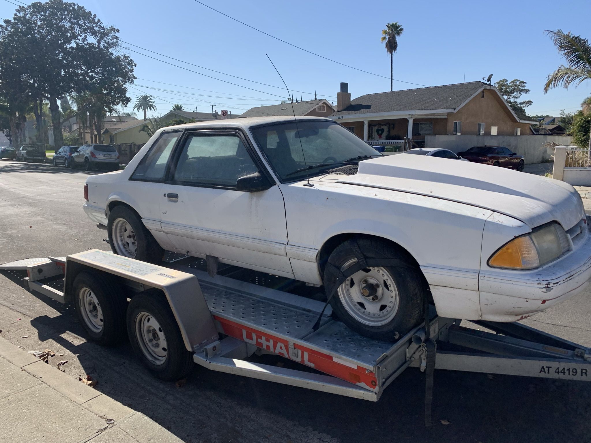 1989 Ford Notchback