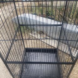 Bird Cage 