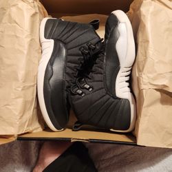Jordan 12 Nylon 