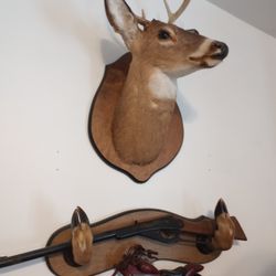 Deer Head And Rifle Holder