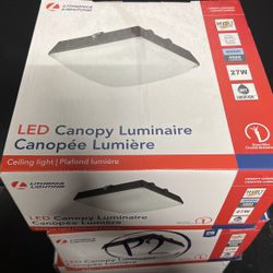 LED Canopy Light