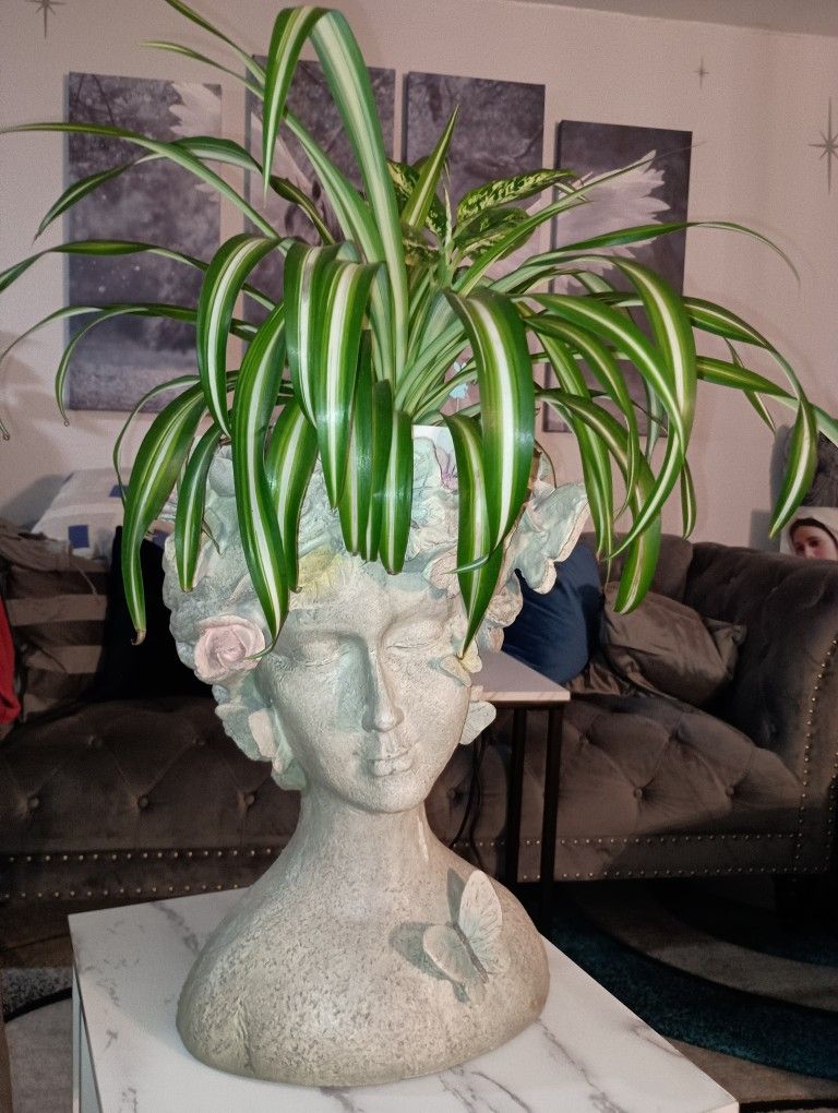 Pot Holder With Plant