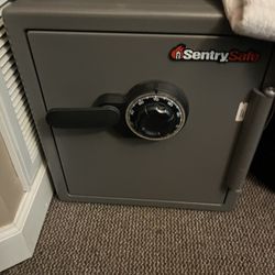 Sentry Safe 1.23 Cu-Ft. Safe 