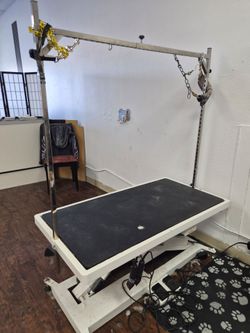 Professional Electric Dog Grooming Table