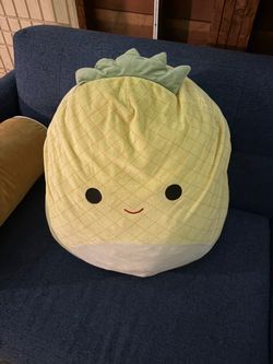 Large pineapple squish, mellow