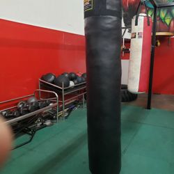 Kickboxing Punching Bag 