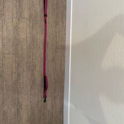 Kong 4’ Purple Dog Leash