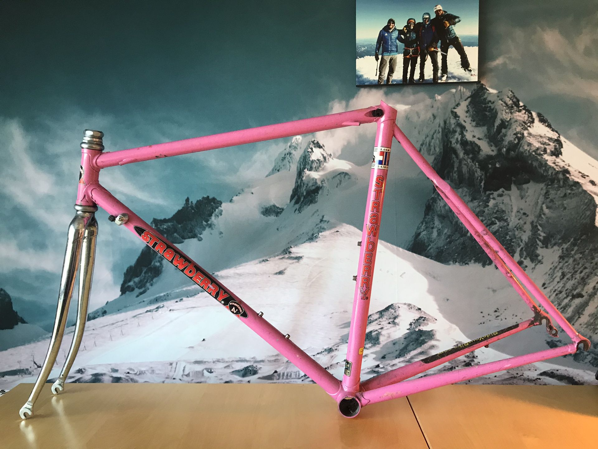 Strawberry Bike Frame - M