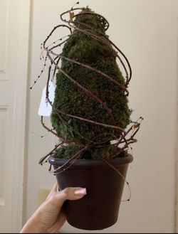 Plant decor