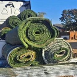 Indiana Summer Turf SALE!