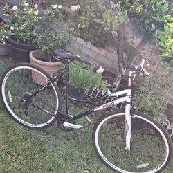 Woman Bike Good Condition Firm 