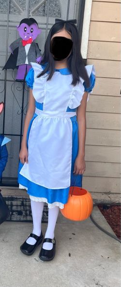 Alice in Wonderland girl costume