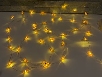Pier One Pumpkin String lights -9ft