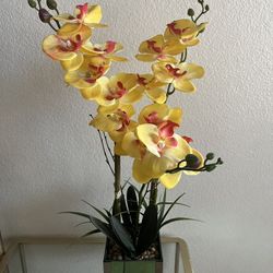 Flower Decoration