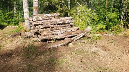 You Cut Firewood