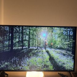 LG 55 Inch Smart TV