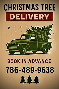 Christmas Tree Transport And Set Up 