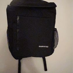 Insulated Backpack 