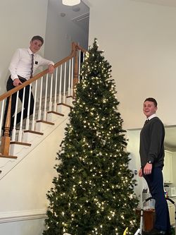 12-Foot Hobby Lobby Yuletide Pine Christmas Tree — $375 ONLY