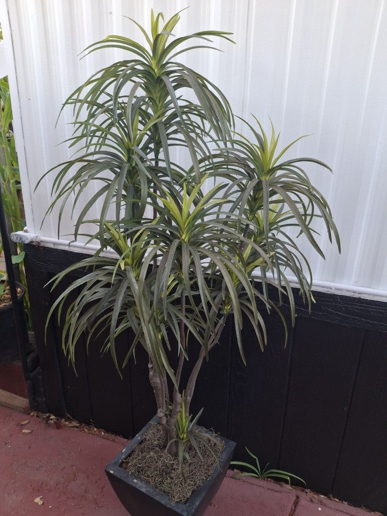 Planta Artificial Buenas Condisiones