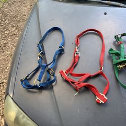 Horse Bridles 