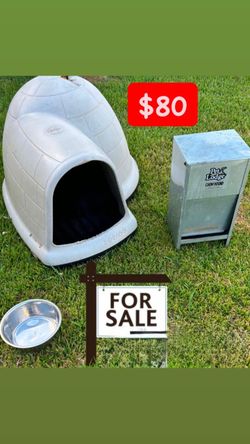 Dog House