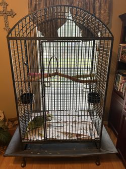 Bird cage