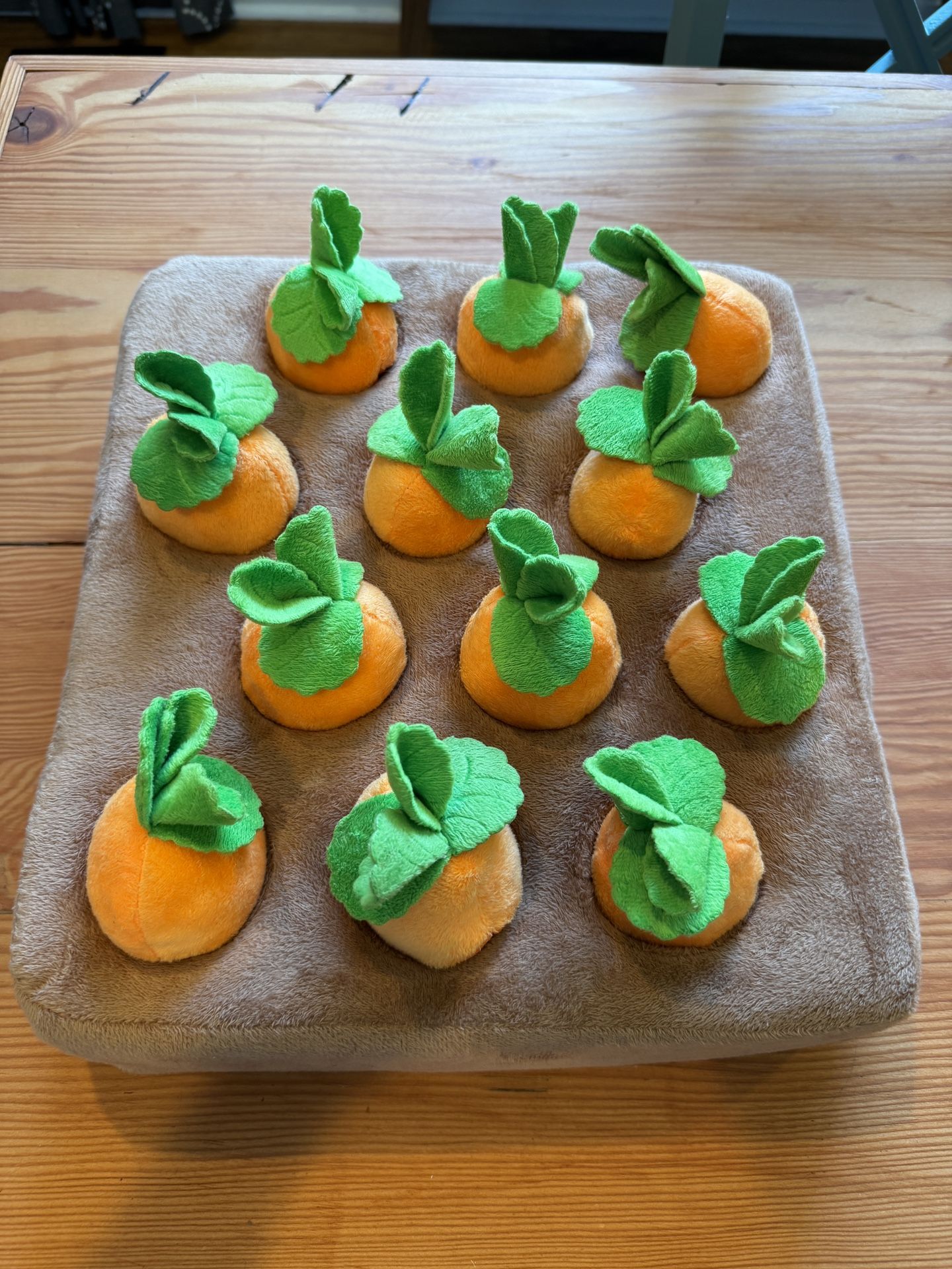 Carrot Dog Puzzle Toy