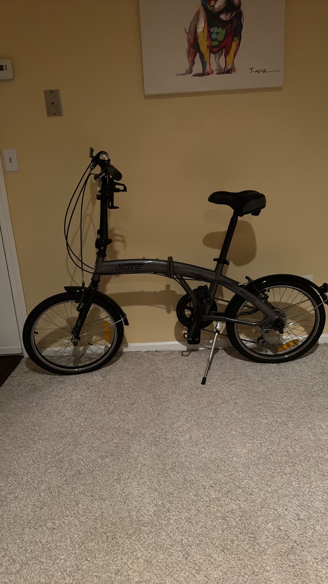 Citizen Folding Bicycle