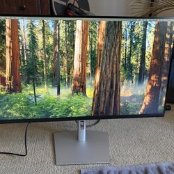 Dell P3223QE 31.5" 4K Monitor – $225 San Diego (92101)