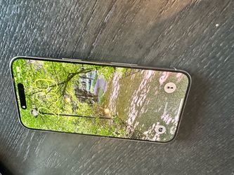 Pro Max - iPhone 15