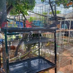 Bird Cages For Sale