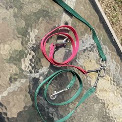 Dog Leash for 2