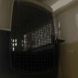Dog Kennel 
