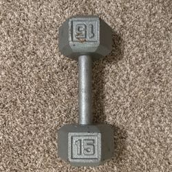 15 Pound Dumbbell 