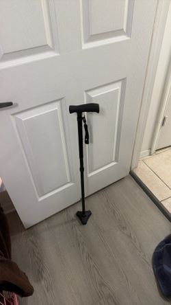 Adjustable free standing cane