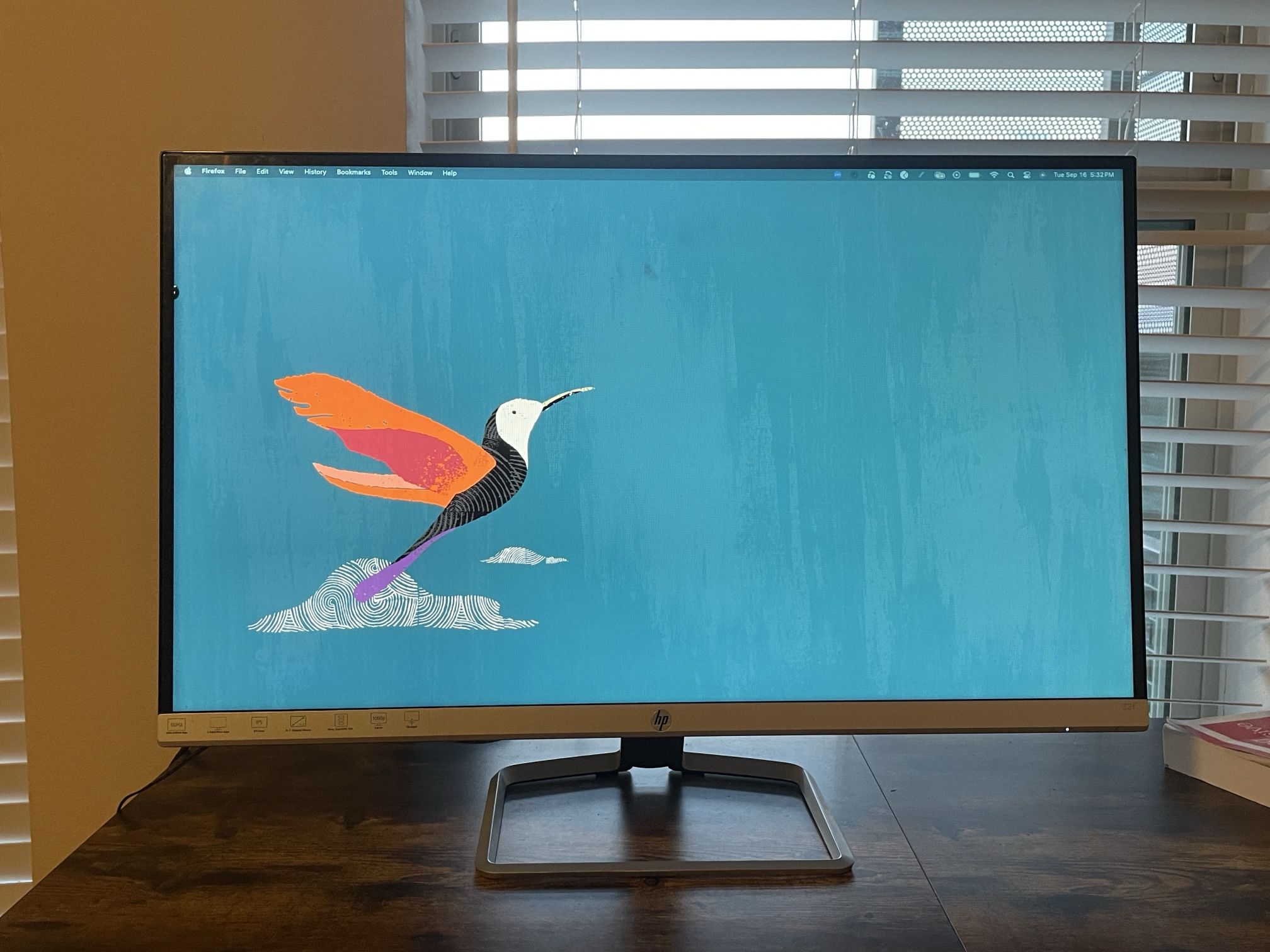 HP Monitor