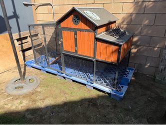 Chicken Coop