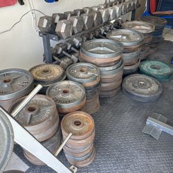 Dumbbells & Plated Weights 