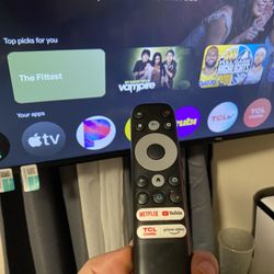 Google Smart TV  with Tv Mount