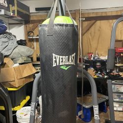 Everlast Punching Bag