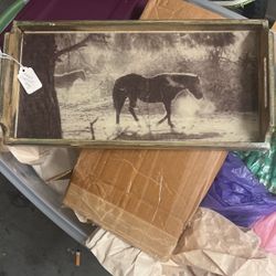 Beautiful Horse Tray 