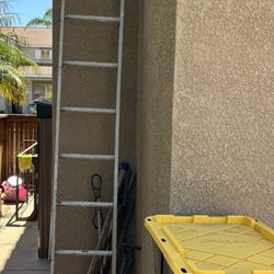 12 Feet’s Ladder 