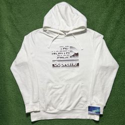 Supreme North Face Metallic Logo Hoodie Large 